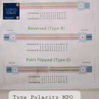Gambar MPO 12 Core OM4 Multimode Female to Female Type B 55 Meter Pabrikasi dari MPO Fiber Optic Solution undefined 4 Tokopedia