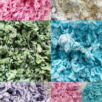 Gambar PENAWARAN MENGGIURKAN HAMMYLAND PAPER BEDDING HAMSTER ALAS KANDANG UTAMA HAMSTER - Hijau Tua dari Arka Kurniawan Pusat14 undefined 2 Tokopedia