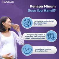 Gambar READY!! Anmum Materna Lite Cokelat 3 x 360g - Susu Ibu Hamil dan Rendah Lemak dari Malki_Sh0p undefined 5 Tokopedia