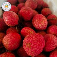 Gambar buah leci merah fresh per kg dari toko buah segar albarokah undefined 1 Tokopedia