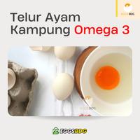 Gambar Telur Ayam Kampung Omega Asli dari Eggsbdg undefined 1 Tokopedia