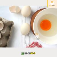 Gambar Telur Ayam Kampung Omega Asli dari Eggsbdg undefined 4 Tokopedia