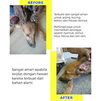 Gambar Obat Kutu Cair Alami Ampuh dan Terbukti Hewan Anjing Kucing 50ml dari Caesar JacO undefined 2 Tokopedia