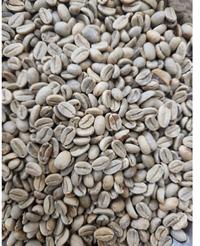 Gambar Green Bean Arabika Papua Nugini Full wash dari alma-Shoop undefined 1 Tokopedia