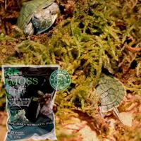 Gambar Forest Moss 100 Grm Alas Kandang Bedding Hewan Reptil Nomoy NC-01 Best seller/Harga Terjangkau dari Rajawala Farm undefined 1 Tokopedia