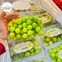 Gambar Anggur Shine Muscat 500gram dari Bu Endess undefined 1 Tokopedia