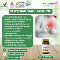 Gambar Obat Penyakit Jantung Koroner Bengkak Jantung Lemah Paling Ampuh dari Naturindo Fit Semarang undefined 4 Tokopedia