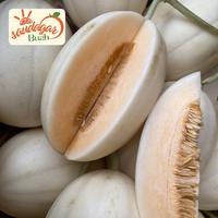 Gambar BUAH MELON SWEET NET HIDROPONIK MANIS CRUNCHY dari Saudagar Buah undefined 2 Tokopedia