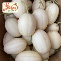 Gambar BUAH MELON SWEET NET HIDROPONIK MANIS CRUNCHY dari Saudagar Buah undefined 3 Tokopedia