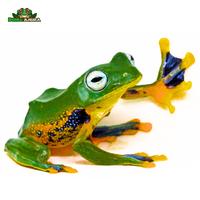 Gambar katak pohon rhacophorus reinwardtii dari Dunia Anura 99 undefined 5 Tokopedia