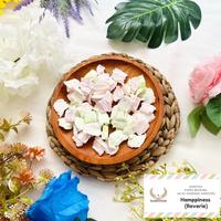 Gambar Diskon Paper Bedding / Alas Hamster / Serbuk Hamster - Reverie (Hamppiness X Nomu.Kyopta) dari Andriec Mania undefined 4 Tokopedia