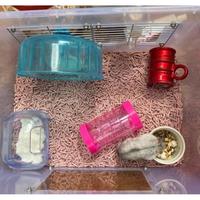 Gambar Wowza Clumpet Bedding Alas Kandang Hamster dari Andriec Mania undefined 2 Tokopedia