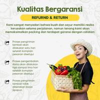 Gambar BUAH KIWI PREMIUM 1 BUAH PREMIUM dari Ada Hoki Makmur Mart undefined 5 Tokopedia