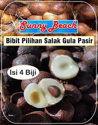 Gambar Bibit Pilihan Salak Gula Pasir | Biji Benih Salak Gula Pasir | Bibit Salak Manis dari De Coral undefined 1 Tokopedia