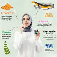 Gambar Pengering Luka Caesar - Kapsul Kutuk Gabus 30 cap - BPOM HALAL - Alamon REGAIN dari Alamon Official undefined 3 Tokopedia