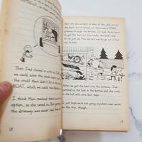 Gambar BUKU DIARY OF A WIMPY KID THE LONG HAUL BY JEFF KINNEY dari Buku Geometrics undefined 4 Tokopedia