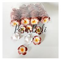 Gambar Aplikasi  D5cm - Size S Bunga Kamboja | Jepun Khas Bali - Putih dari PasarBali undefined 3 Tokopedia