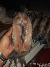 Gambar Bandeng Tanpa Duri 200gr Batari 200gr Ikan Bandeng Cabut Duri 200gr Frozen Fish 200gr Frozen Food 200gr dari Sadam Batari undefined 3 Tokopedia