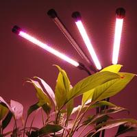 Gambar ZW0373 Lampu Tanaman Hidroponik Indoor UV Ultraviolet LED Grow Light Dimmable Timing Wireless Networking Four Heads 240led Warm White Smart Intelligent Desk | 2.031.0084 | ZW0373 dari More More More More undefined 5 Tokopedia