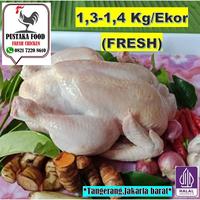 Gambar Ayam Karkas ,Ayam Potong Broiler Utuh + Kepala ,Ceker  1,3-1, 4 Kg/Ekor.(FRESH) dari AYAM POTONG PUSTAKA FOOD undefined 1 Tokopedia