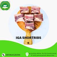 Gambar IGA SAPI / SHORTRIBS DAGING TEBAL 1kg dari TOKO DAGING MANGKU BEEF PREMIUM undefined 1 Tokopedia