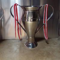 Gambar trophy stenlis - 50cm dari ALHAN18 undefined 3 Tokopedia