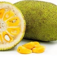 Gambar Buah Nangka Manis - pack [GROSIR] dari KangSayurMenteng undefined 1 Tokopedia