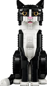 Gambar Lego Ideas 21349 Tuxedo Cat Spiders67 dari Melody Seller undefined 4 Tokopedia