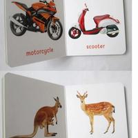 Gambar original My first library early childhood education 10 books dari Taniya-books undefined 4 Tokopedia