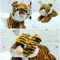 Gambar Boneka Tiger / harimau / tiger doll /boneka hewan / animal/ plushdoll/kado  lucu / kado ulang tahun anak-anak /remaja / dewasa/ hadiah anniversary atau wisuda/ harga murah berkualitas / plush doll / kamera / doll dari PeonyshopJTL undefined 1 Tokopedia