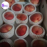 Gambar peach jepang oringinal 500gr | buah peach asli jepang dari Shoopshopid99 undefined 2 Tokopedia