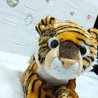 Gambar Boneka Tiger / harimau / tiger doll /boneka hewan / animal/ plushdoll/kado  lucu / kado ulang tahun anak-anak /remaja / dewasa/ hadiah anniversary atau wisuda/ harga murah berkualitas / plush doll / kamera / doll dari PeonyshopJTL undefined 5 Tokopedia
