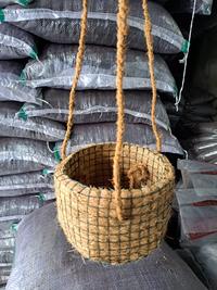 Gambar Pot Anggrek Gantung - Pot Gantung - Pot Sabut Kelapa dari Toko pertanian arsya undefined 4 Tokopedia