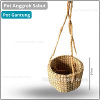 Gambar Pot Anggrek Gantung - Pot Gantung - Pot Sabut Kelapa dari Toko pertanian arsya undefined 2 Tokopedia