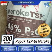Gambar Pupuk TSP Triple Super Fosfat Kemasan 300 gr dari Hippo Grow Indonesia undefined 2 Tokopedia