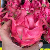 Gambar Buah Naga fresh per 1 Kg dari Gudang Sayur buah undefined 2 Tokopedia
