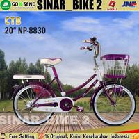 Gambar Sepeda Keranjang Dewasa PHOENIX NP-8830 Perempuan Uk 20 24 & 26 Inch - PURPLE, 26'' dari tole-store undefined 3 Tokopedia