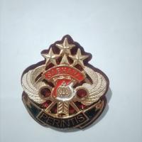 Gambar Pin Perintis Sabhara - Pin perintis - Samapta Polri dari IstanaAttribut undefined 1 Tokopedia