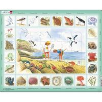 Gambar Larsen Puzzles Seaside 48 Piece ChildrenS Educational Jigsaw Puzzle dari Shine Markett undefined 1 Tokopedia