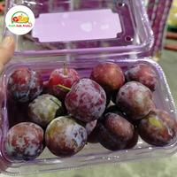 Gambar Sweet plum import China 1dus dari Ari NK Freshfruits undefined 1 Tokopedia