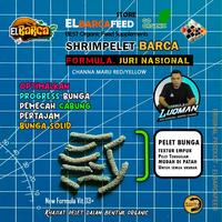 Gambar Paket Pakan Ikan Progress Pemecah Cabung & Bunga Solid Channa Maru Formula By. Juri National Icc dari Prilly Pet Shop undefined 2 Tokopedia