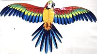 Gambar Layang layang burung elang 1set termasuk joran tongkat mainan layang - 1 dari Kagawa Fishing undefined 5 Tokopedia