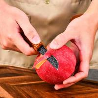 Gambar Pisau Damaskus Pisau Camping Pisau Bambu Mini Pisau Daging Pisau Buah dari TommyAcc undefined 5 Tokopedia
