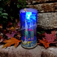 Gambar [ M ] Aquarium Mini Dilengkapi Lampu Boneka, Tanaman Bunga, Batu Warna - Batu alam dari Zulni Cahaya undefined 3 Tokopedia