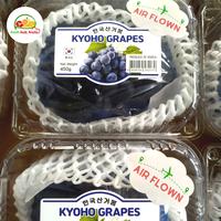 Gambar Anggur Kyoho Korea Premium 1pack dari Ari NK Freshfruits undefined 1 Tokopedia
