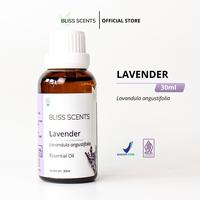 Gambar Lavender Essential Oil 30ml 100% Murni Tetes Minyak dari Bliss Scents undefined 1 Tokopedia
