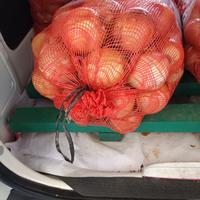 Gambar Bombay karungan 1saz+-10kg dari AA EMPON undefined 1 Tokopedia