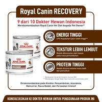 Gambar PROMO Royal Canin Recovery Canned Untuk Anjing / Kucing - Hemat 4000 dari Vet Village undefined 4 Tokopedia
