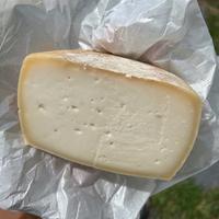Gambar Manchego Cheese - Keju Manchego - Bhumi Nararya dari Bhumi Nararya Shop undefined 2 Tokopedia