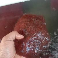 Gambar pakan ikan cacing sutra hidup perbungkus dari legok fish farm undefined 1 Tokopedia